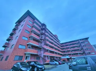 ピュアネスDOIの画像