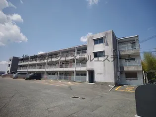 メゾン忍ヶ丘の画像