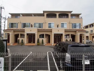 Yシャトレーヌの画像