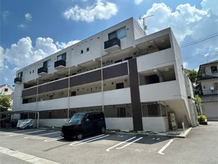 ネオ シルフィールの画像