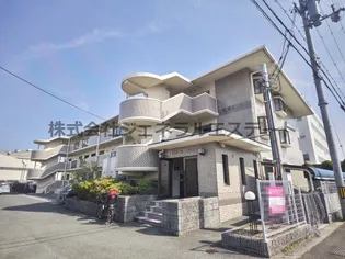 プランドールマツカワの画像