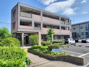 プリムローズの画像