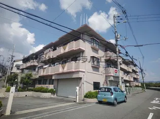 サンバリーアツカワカツの画像