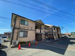 アムールの画像