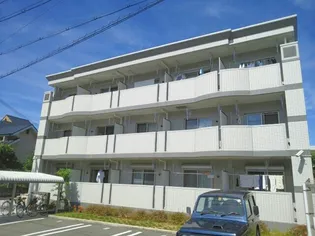 プラティークヌーヴォーの画像