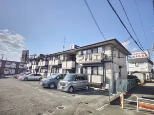 ケイコスモの画像