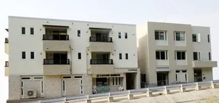 ルチルⅡの画像