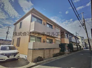 クレメンテカミダAの画像