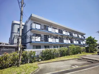 サンライズ マゼミの画像