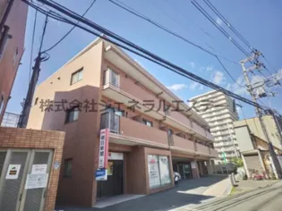 タートル ネージュの画像