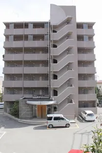 コートカメリア【303号室】の外観