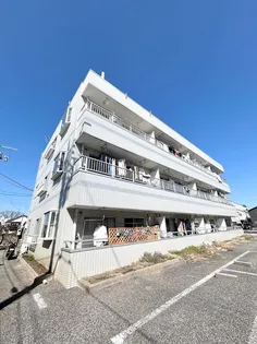 スカイヴィラの画像