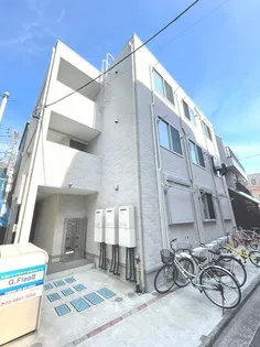 G FLAPIIの画像