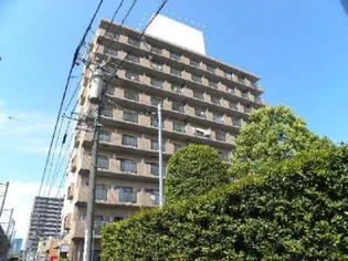 ステーションコートの画像