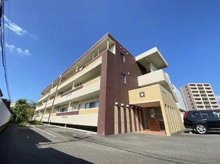 パッセージの画像