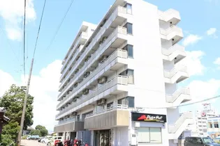 コスモ恒久【406号室】の外観