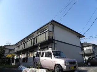 パイングローブIIIの画像