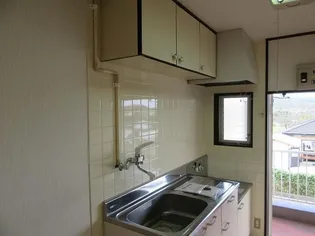 シェーンブルン【208号室】のキッチン