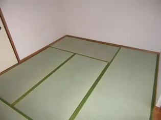 ルミエール吉村B棟【202号室】のその他画像