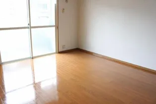 アリュール・アイ【703号室】の内装