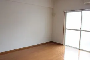 アリュール・アイ【703号室】の内装