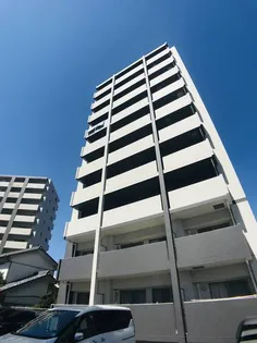 プログランツの画像