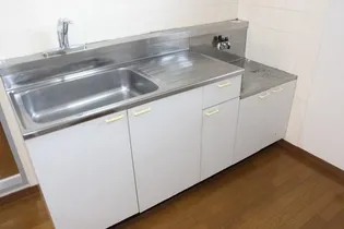 サンジェルマンⅢ【203号室】のキッチン