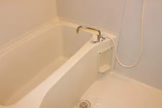 サンジェルマンⅢ【203号室】の風呂