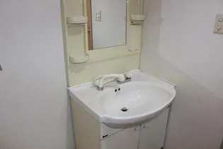 サンジェルマンⅢ【203号室】のその他画像