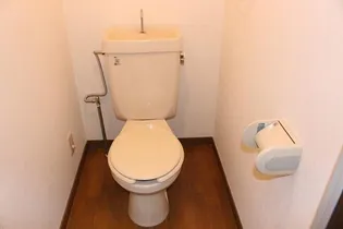 サンジェルマンⅢ【203号室】のその他画像