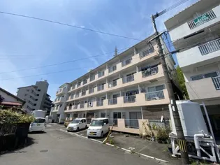 ブラッサム【407号室】の外観