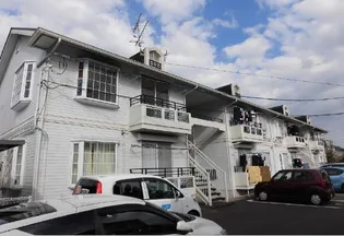 カゼッティーナレイチェの画像