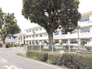 ハッピーメゾンⅦ A【2階】の周辺