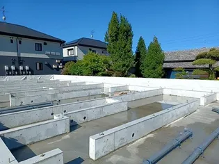 アルタイルの画像