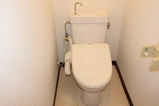 コーポレジェンド【501号室】の内装