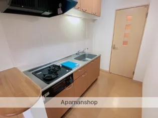 リエゾン【502号室】のキッチン