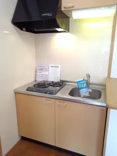 サン・プラシード【5階】のキッチン