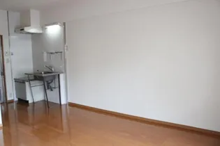 アリュール・アイ【503号室】の内装