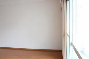 アリュール・アイ【503号室】の内装