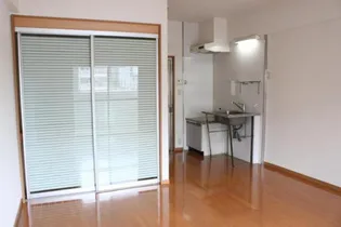 アリュール・アイ【503号室】の内装