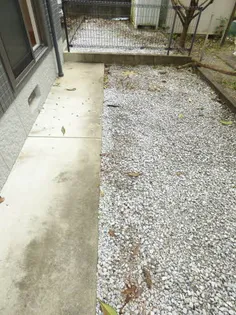 サンシャーレ21 *【A0102号室号室】のその他画像