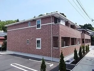 ドラセナAの画像