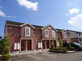 フォーリストナチュラルA Bの画像