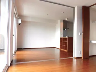 Sビレッジ【203号室】の居間