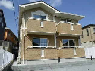 エヌ プラシードの画像