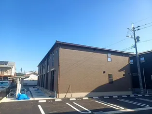 オレガノ Aの画像