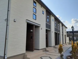 オレガノ Bの画像