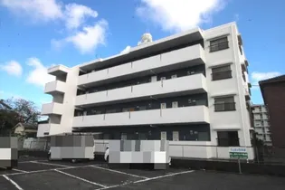 ラカ オリノの画像