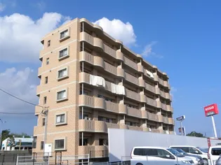 アンジェリークの画像