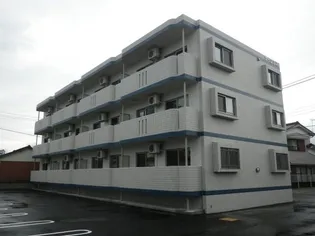 サープラスの画像